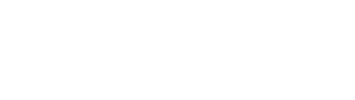 Startup In Goal - logo web orizzontale bianco